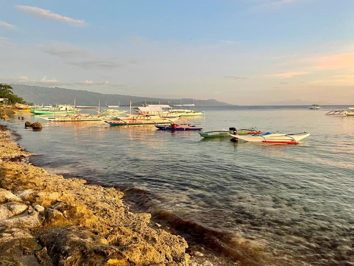 Momo Hostel Moalboal Kültér fotó