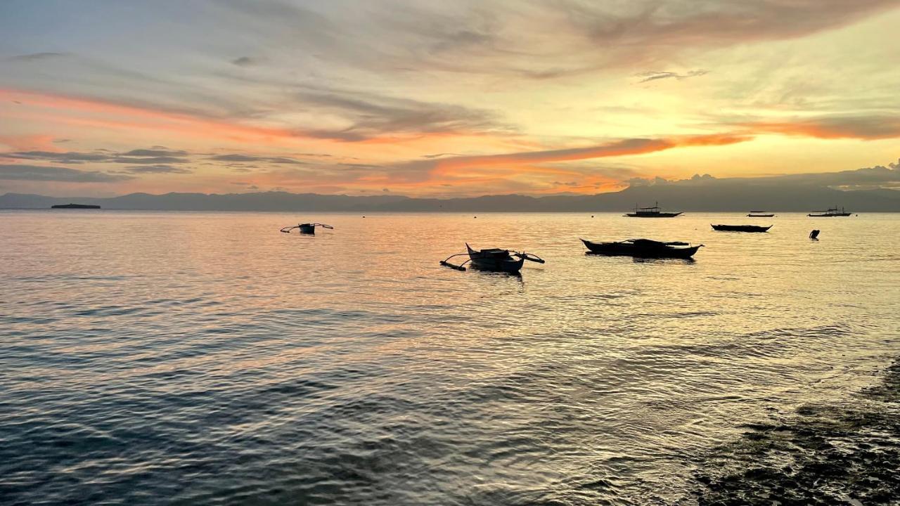 Momo Hostel Moalboal Kültér fotó