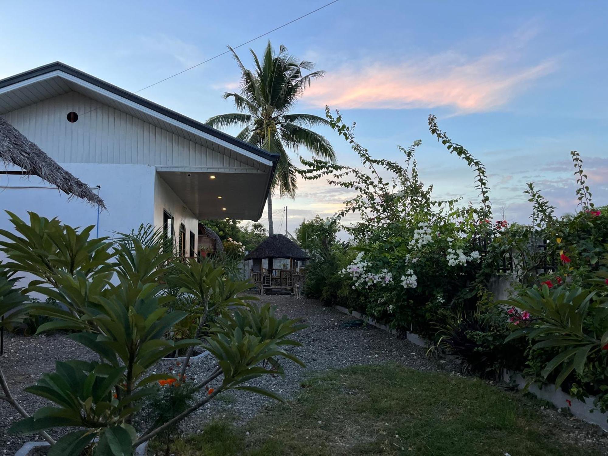 Momo Hostel Moalboal Kültér fotó