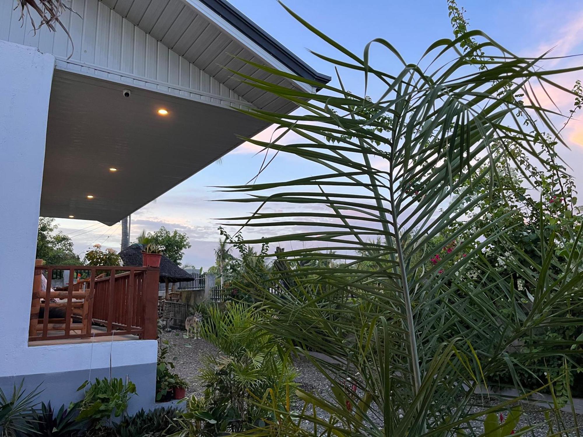 Momo Hostel Moalboal Kültér fotó